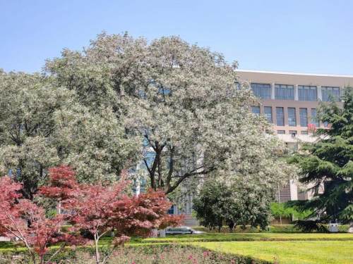 宝鸡职业技术学院摄影,宝鸡职业技术学院学生拍视频