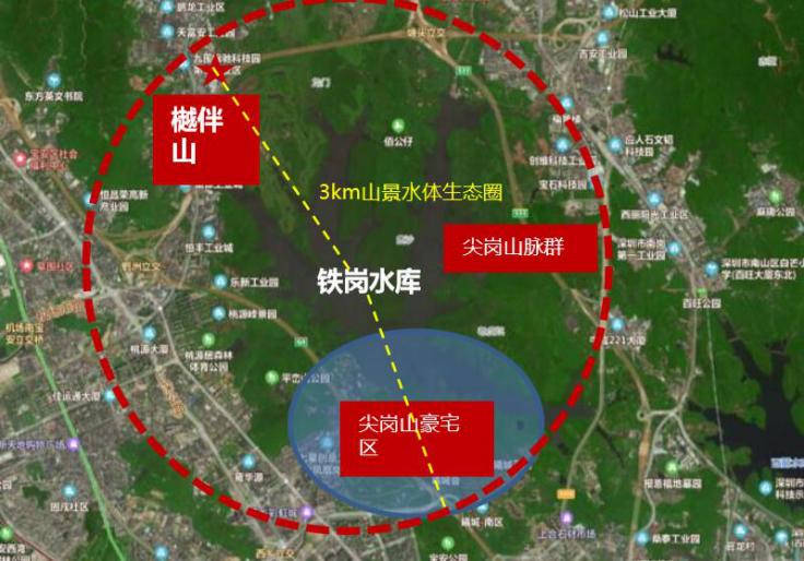 深圳买新房打新和不打新的区别,深圳楼市打新规则解读