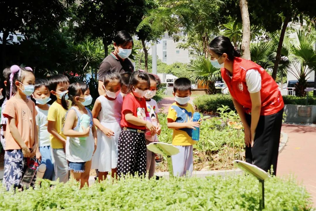 开展党建活动传递红色文化,党建引领文化聚人心