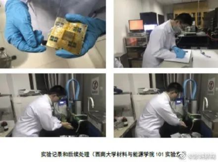 感染新冠狗被扑杀,感染新冠宠物扑杀