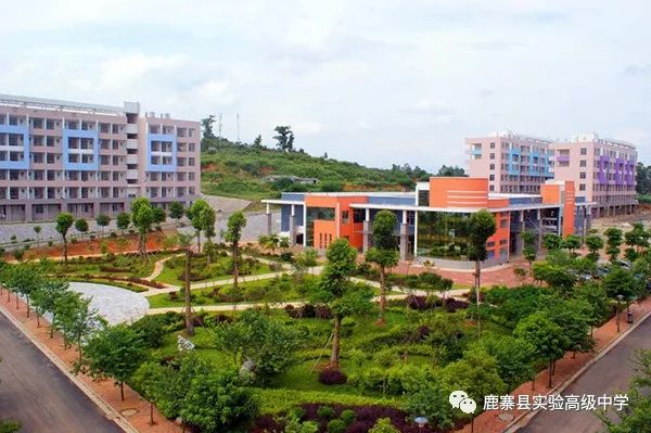 柳州新建幼儿园,柳州市城柳路改造最新进展