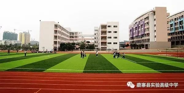 柳州新建幼儿园,柳州市城柳路改造最新进展