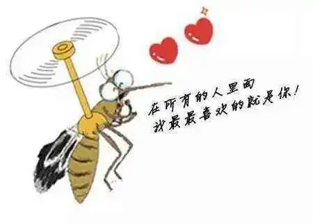 哪种人最爱招蚊子,哪些人受蚊子青睐