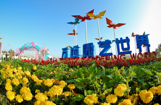 广东翁源兰花年产值超30亿,蝴蝶兰广东年产量