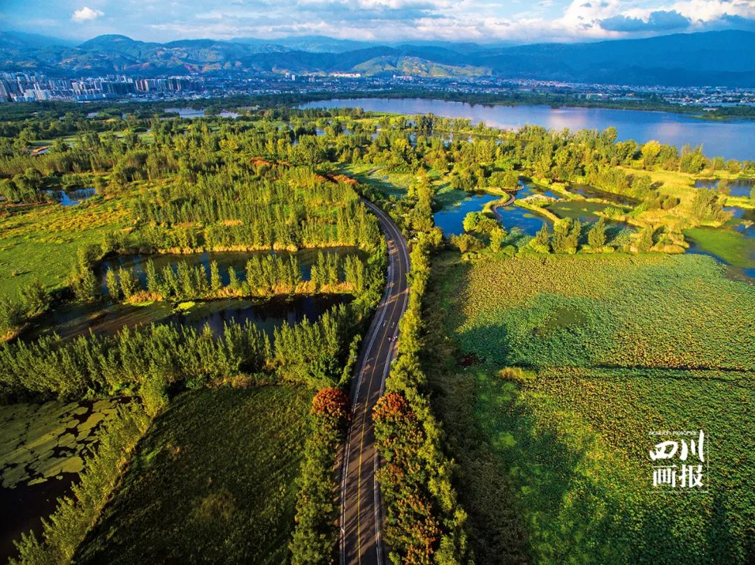 四川成都绿道视频,四川有哪几个绿道
