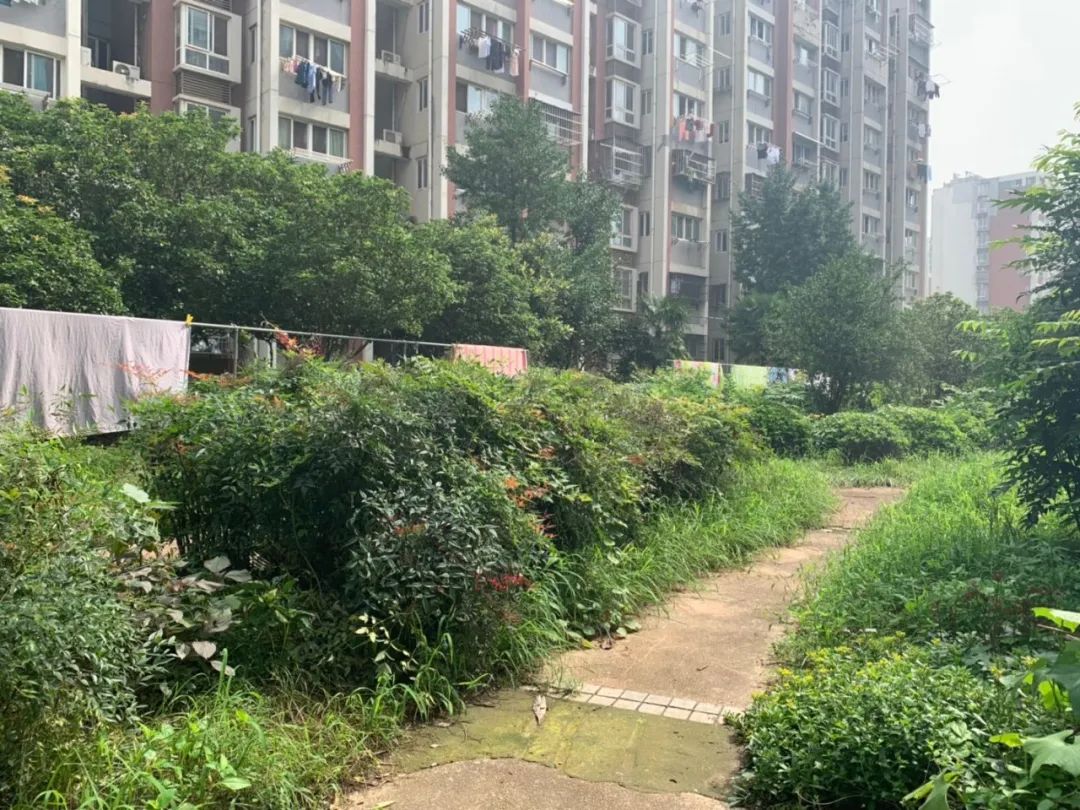 南京房子成交量上涨,成交持续上涨的楼盘