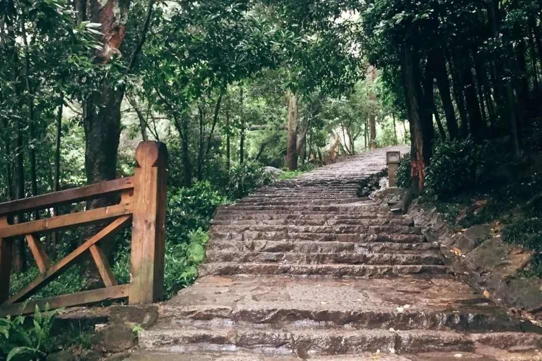 福州市节假日免费乘公交地铁,福州地铁公交周末节假日免费坐