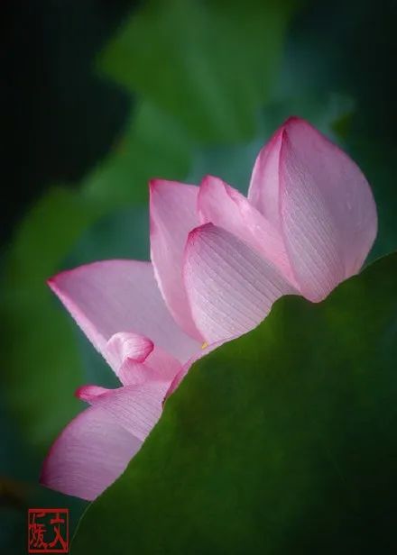 福州市节假日免费乘公交地铁,福州地铁公交周末节假日免费坐