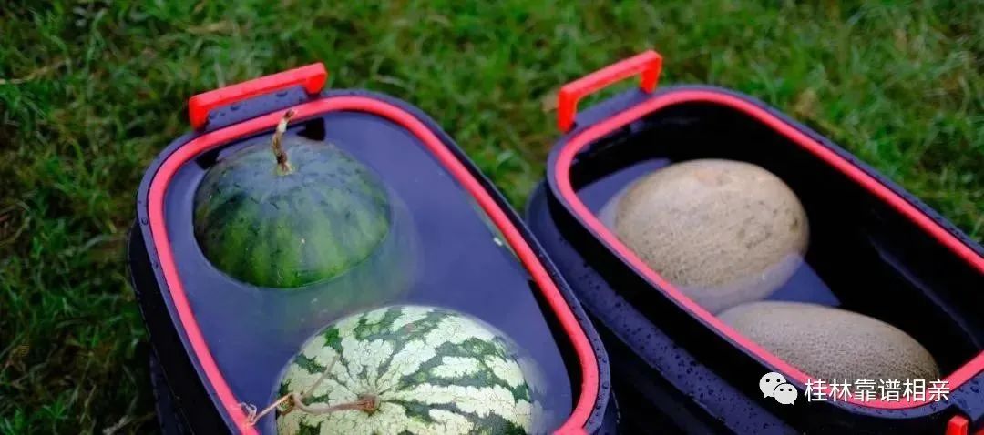 全是帅哥美女！周日，漓江边的这场浪漫单身Party怕是要火，快报名