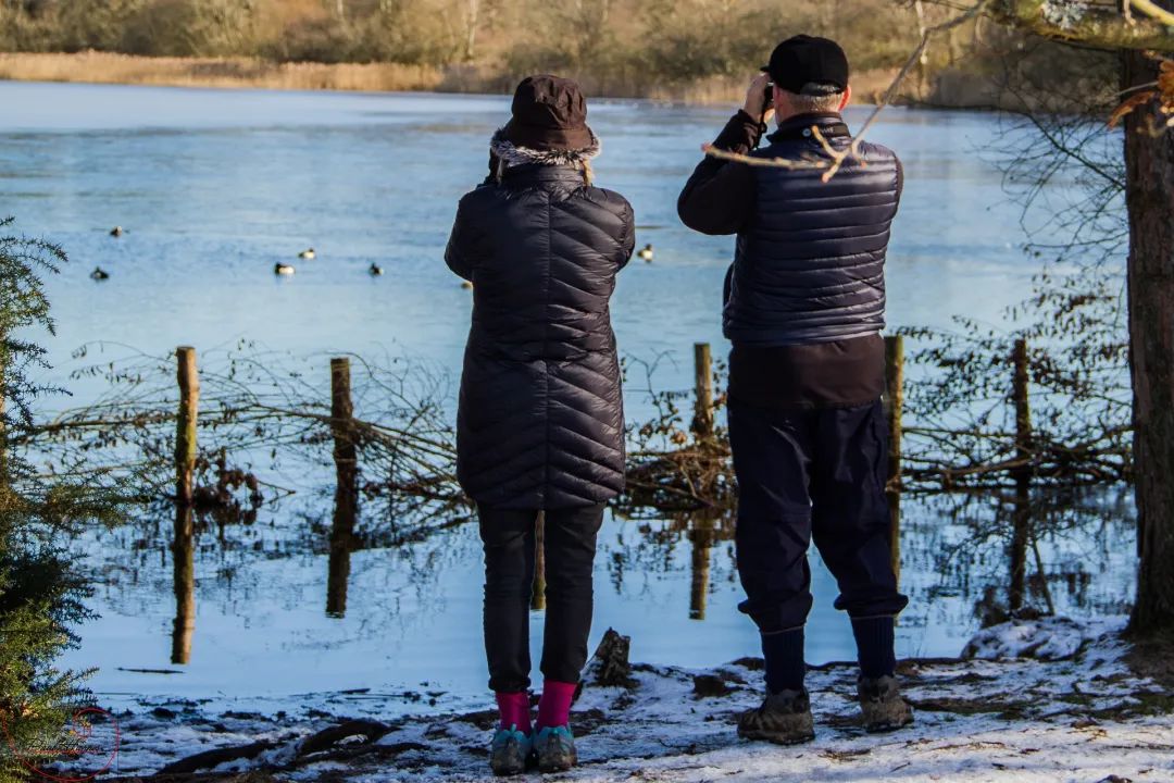 为了阻止一些中国大爷拍鸟，我们要给他们安利这个