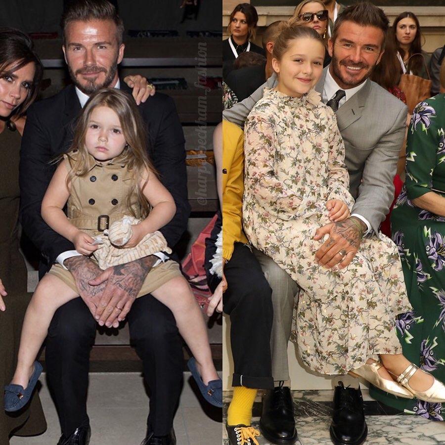 彩虹屁｜“镜面博主”小七来啦~没错就是贝嫂家那个