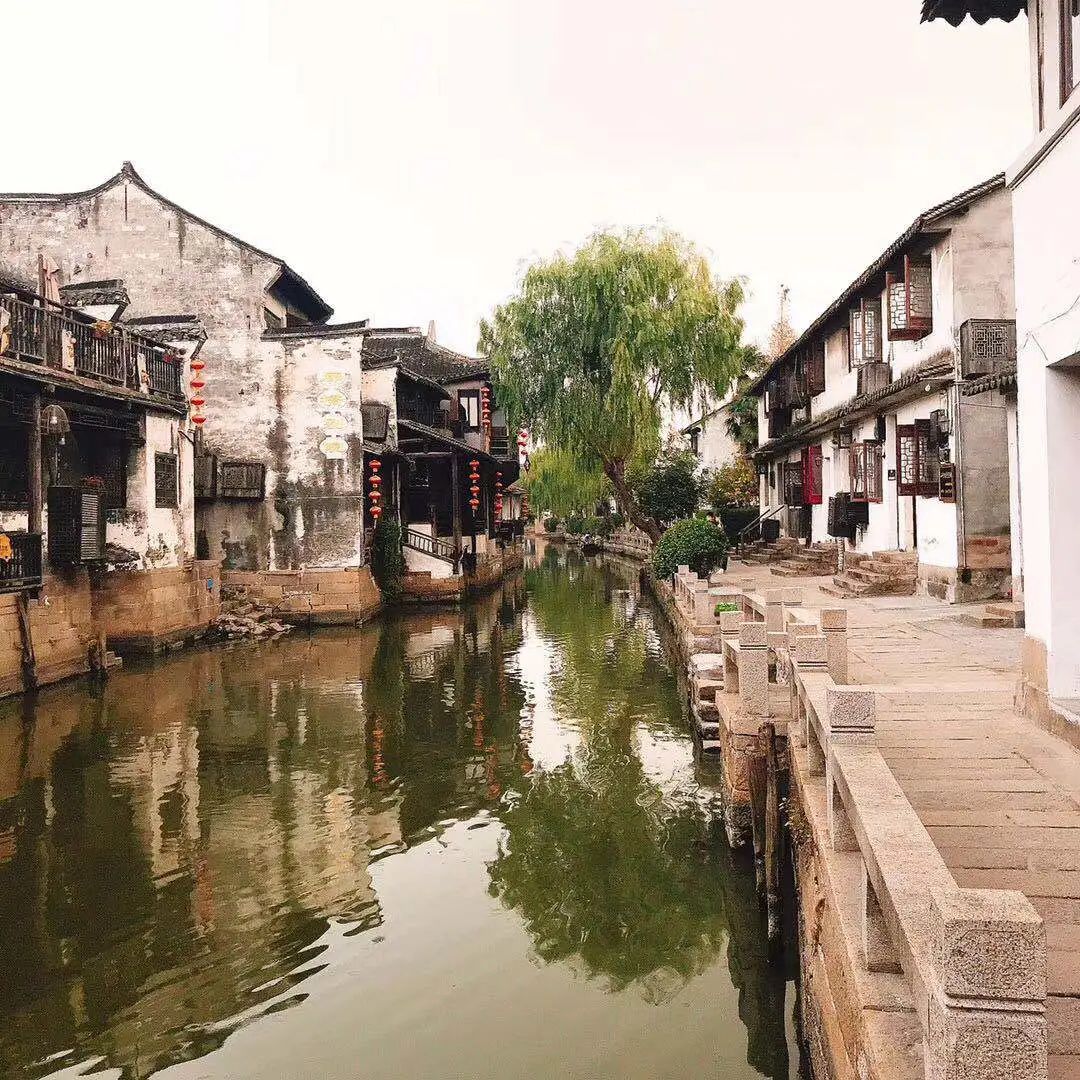 27岁突发耳聋，她却成了月入5万的自由职业者——一个平凡女孩可以如何对抗命运