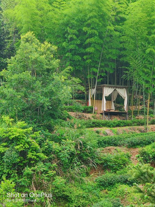 武夷山景区2020,中国最美的武夷山