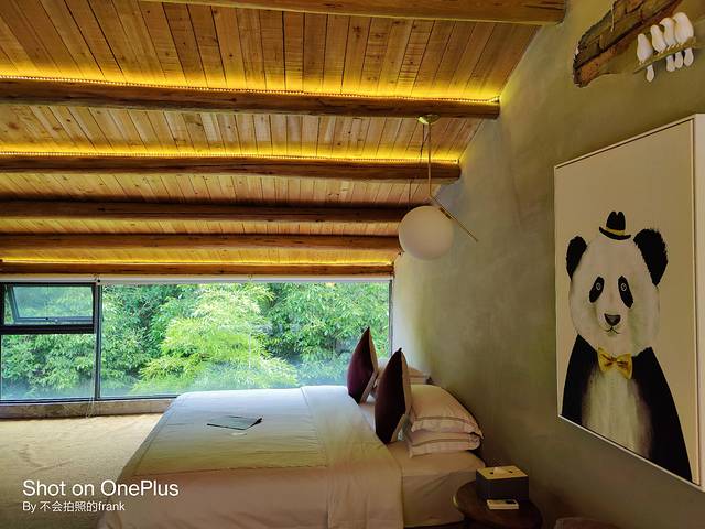 武夷山景区2020,中国最美的武夷山