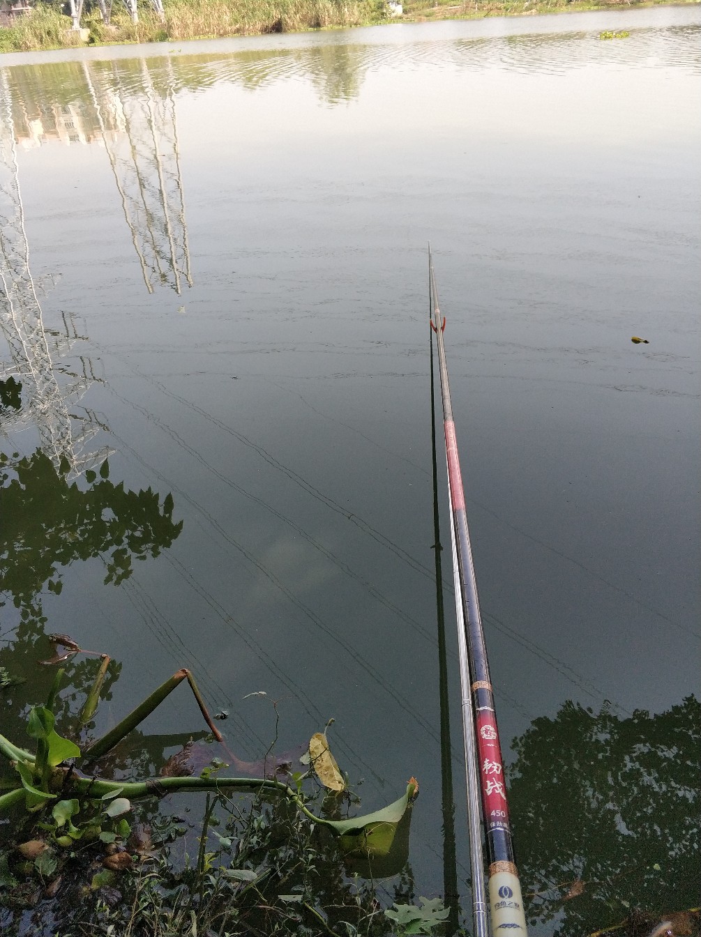 钓鱼人818完整视频,钓鱼人818攻略