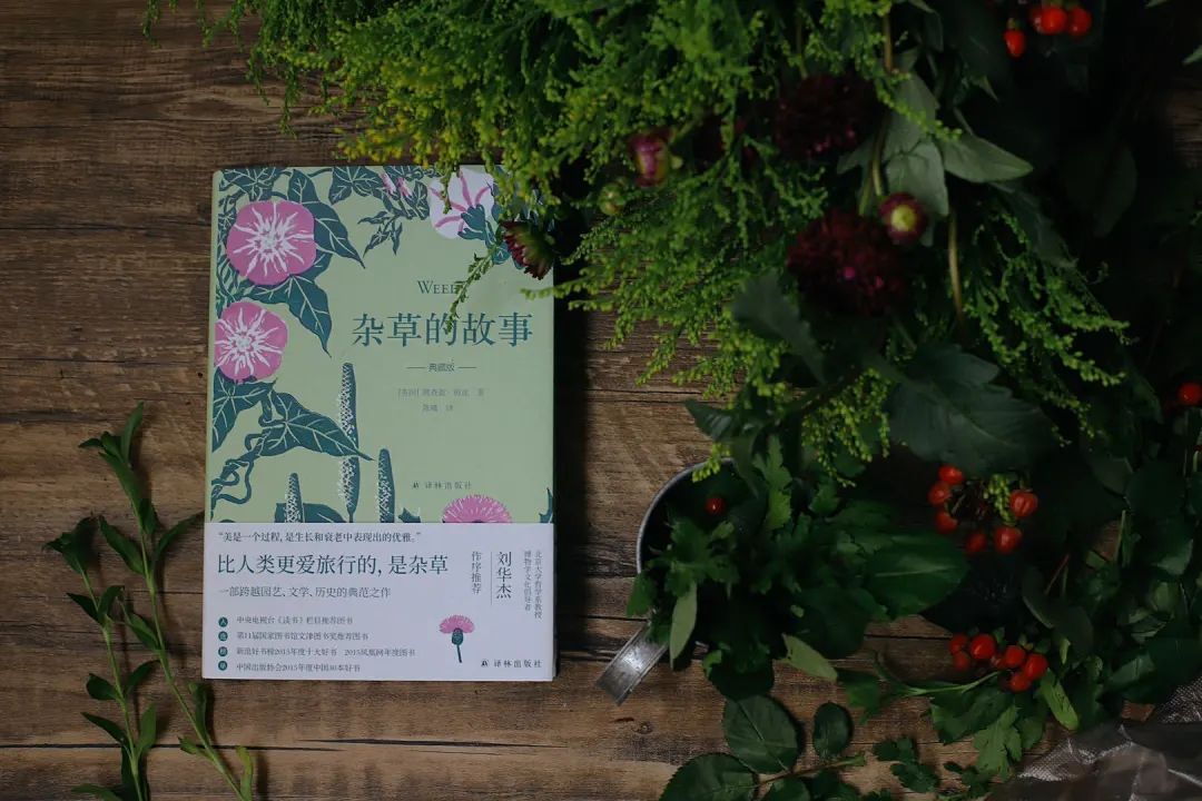 据说把它放在枕下，就能梦见未来的另一半？