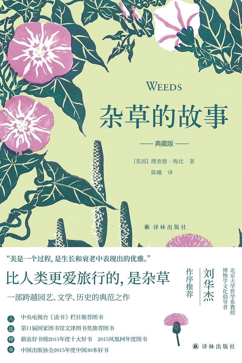 据说把它放在枕下，就能梦见未来的另一半？