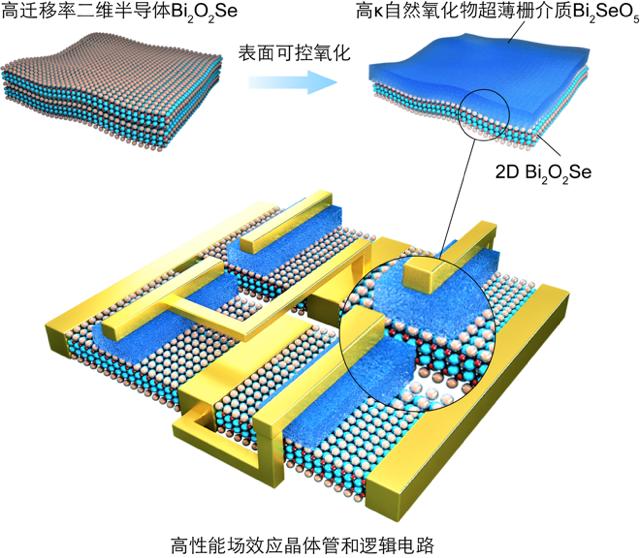 北京大学学位评定委员会内容,北京大学学位评估