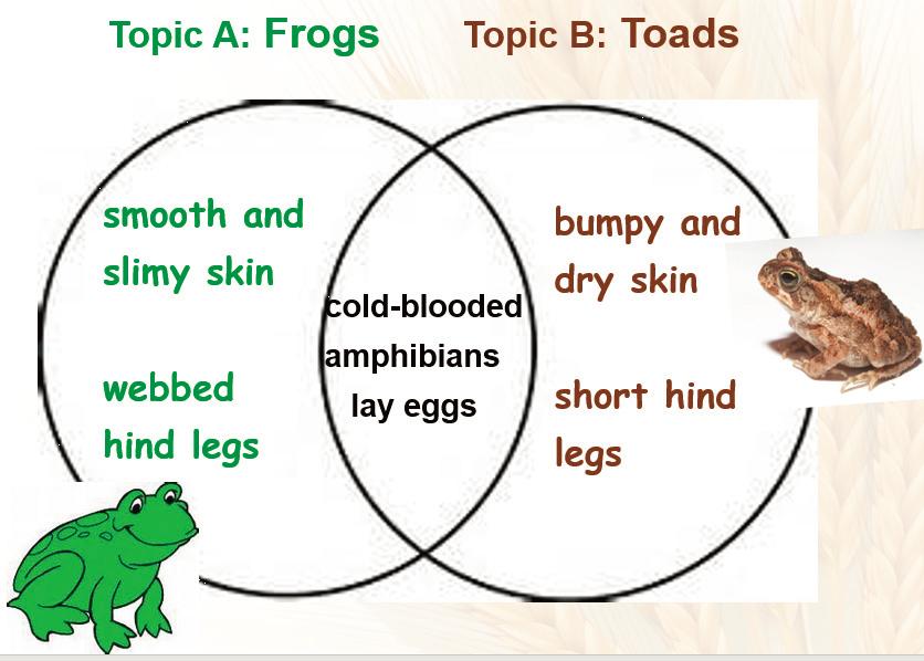 如何有效设计英语阅读教学,英语阅读教学设计教学方法