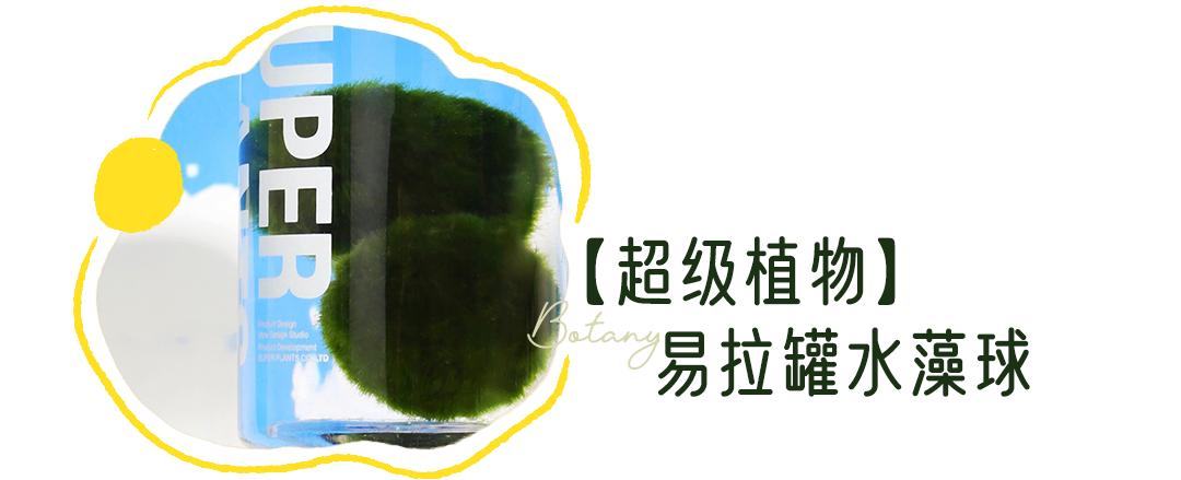 淘宝收藏过的店铺,淘宝以前收藏的店铺