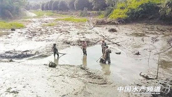 集装箱养殖设备大全,集装箱式养殖模式