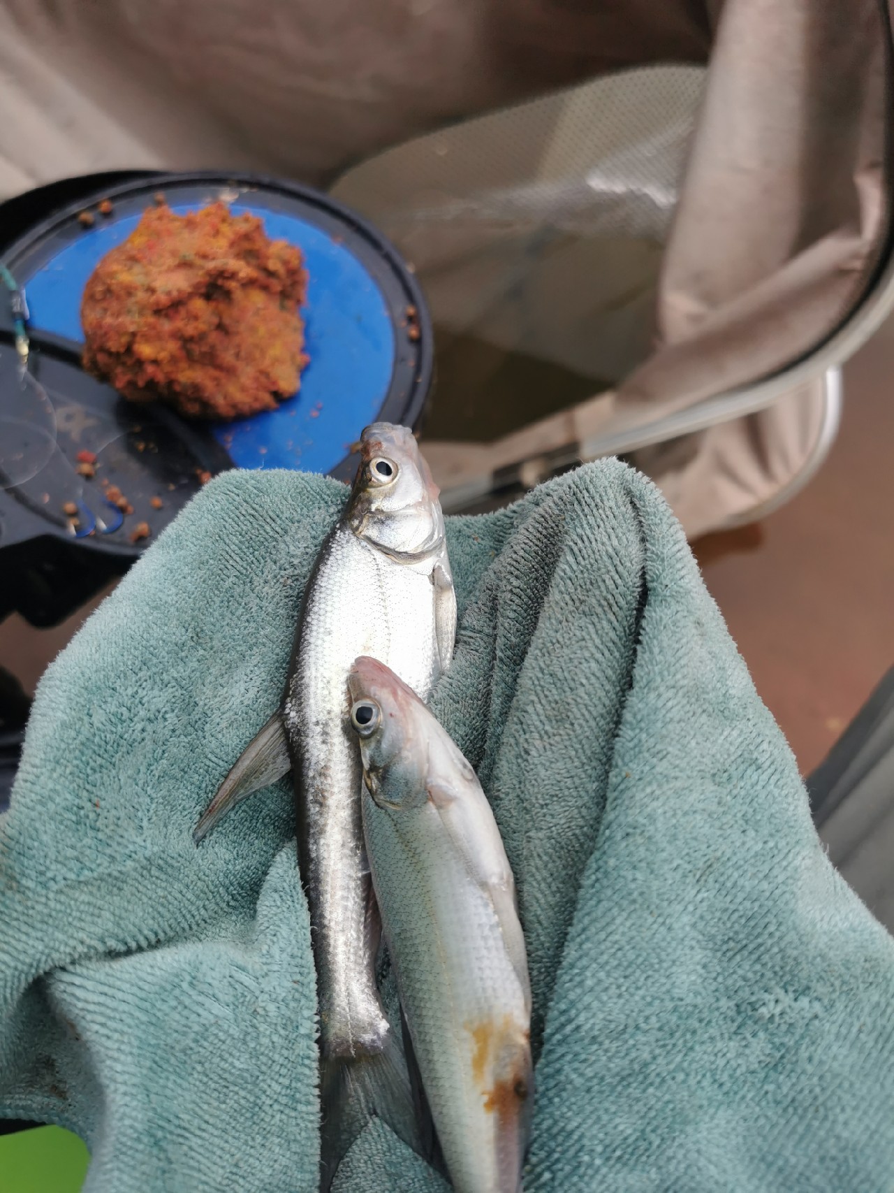 封杆之战决胜局,封竿之战