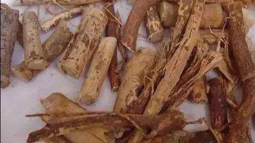 五指毛桃汤什么人不宜饮,五指毛桃汤的中毒症状