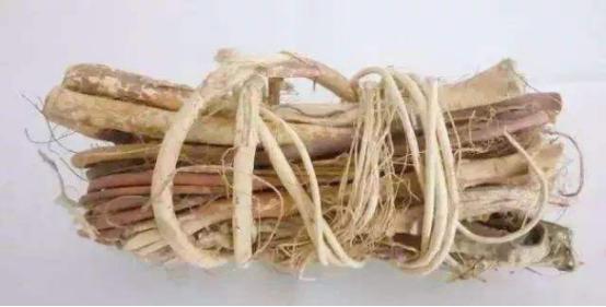 五指毛桃汤什么人不宜饮,五指毛桃汤的中毒症状