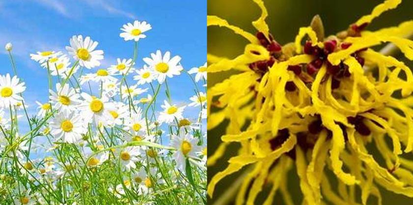 适合夏天用的沐浴露有哪些,夏天用什么沐浴露清爽又香