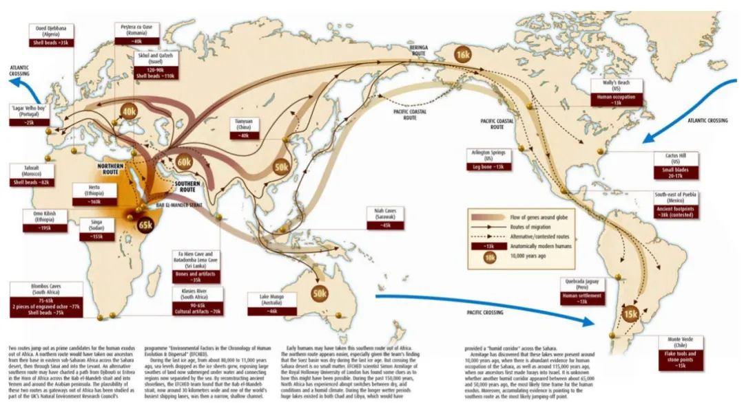 介绍羊驼为什么是神兽,羊驼为什么被誉为神兽