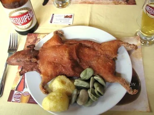 介绍羊驼为什么是神兽,羊驼为什么被誉为神兽