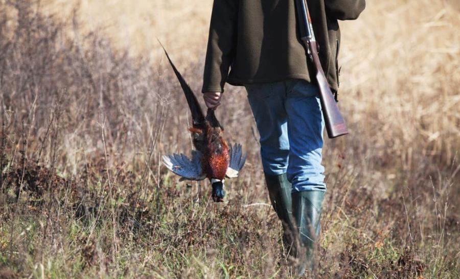 爱打野味的注意了！崇义又一例非法持枪案宣判