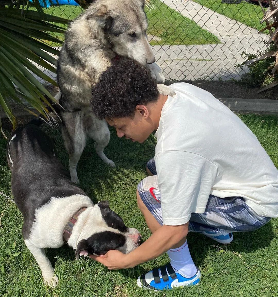 nikedunksb哪几款值得购买,潮鞋推荐nikesbdunk