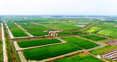 淮味千年品牌农产品,淮味千年