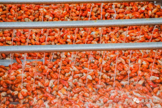 淮味千年品牌农产品,淮味千年