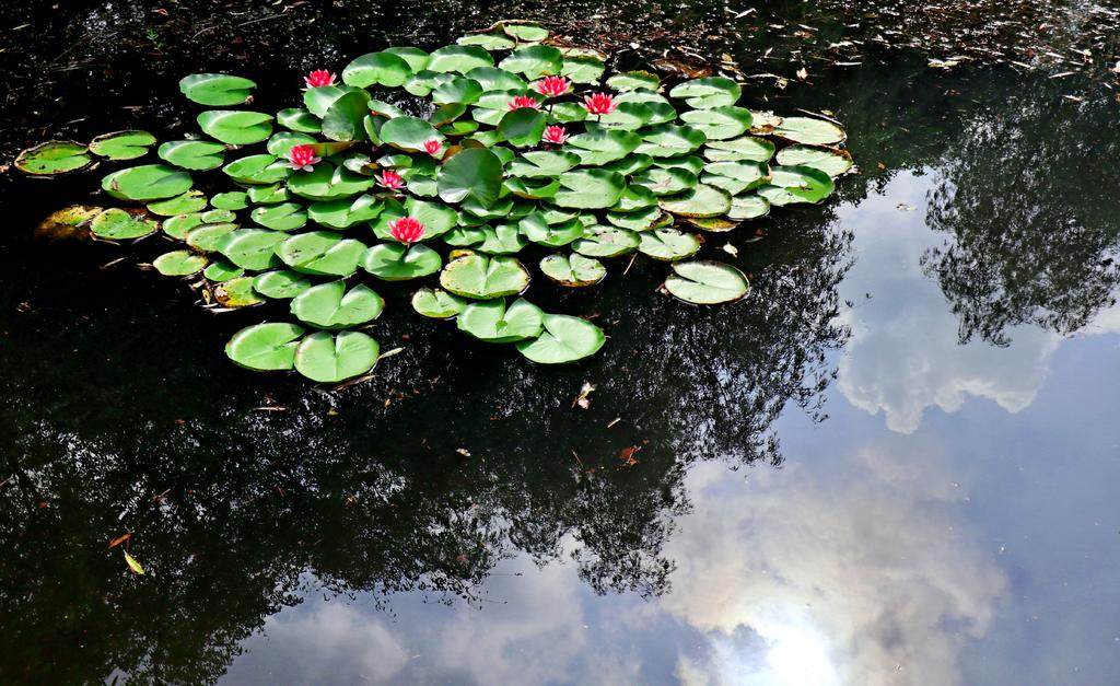 佳能eosm6二代,佳能eosm6怎么传输照片