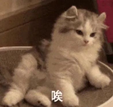 瑞酱长草日记丨美容小“嘟嘟脸”Lisa，原来也被嘴角纹困扰着？