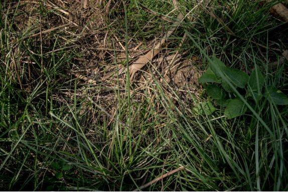 没见过比尔·盖茨强烈推荐的“美元街”，你都不知道自己活得多幸福