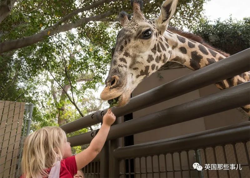 超级有钱的孕妈都咋生娃？居然还有专门打理一切的“孕期管家”....