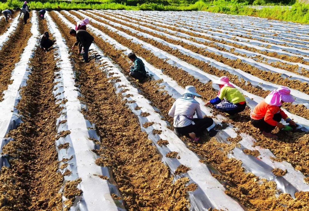 汽车保险改革新政表,车辆医保缴费年限最新规定