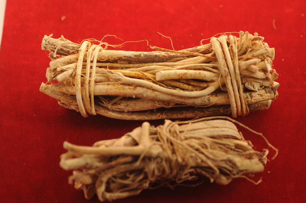 国医大师邓老妙用补气药五爪龙