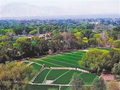 「夜读」天下黄河青海清