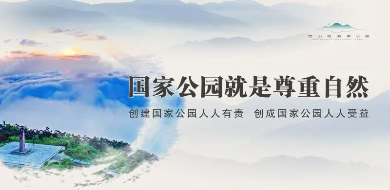 背靠梨树致富案例,背靠大树赚钱