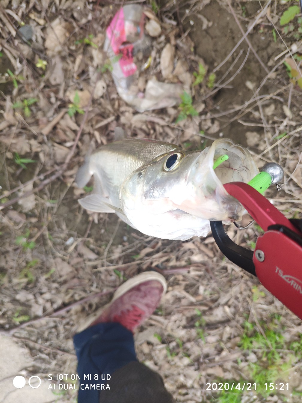 路亚铅头钩实用操作手法,路亚铅头钩零基础教学