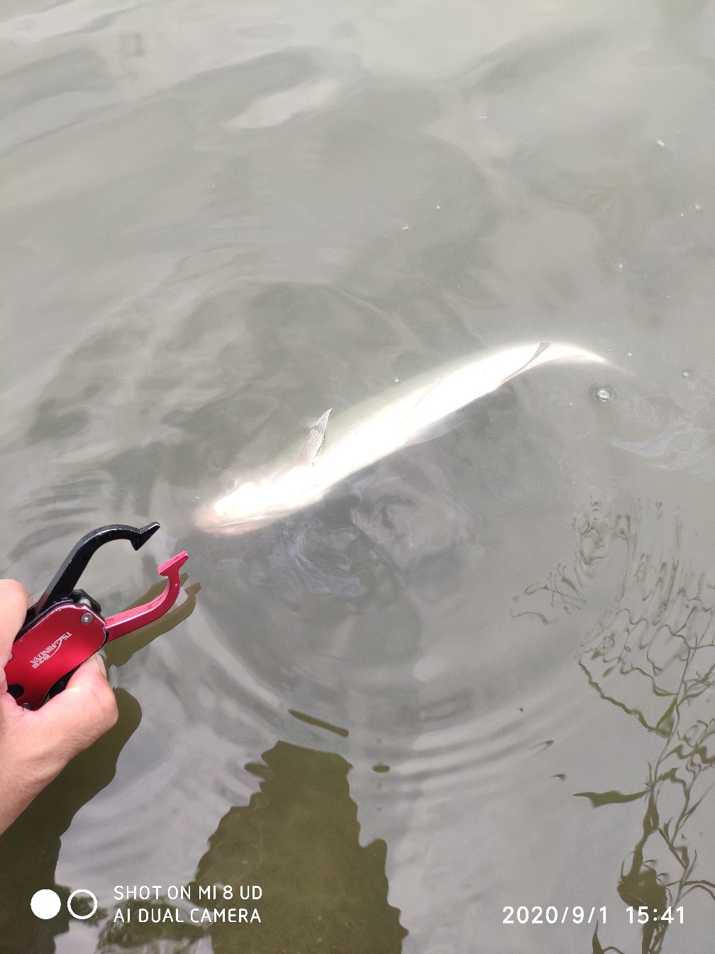 路亚铅头钩实用操作手法,路亚铅头钩零基础教学