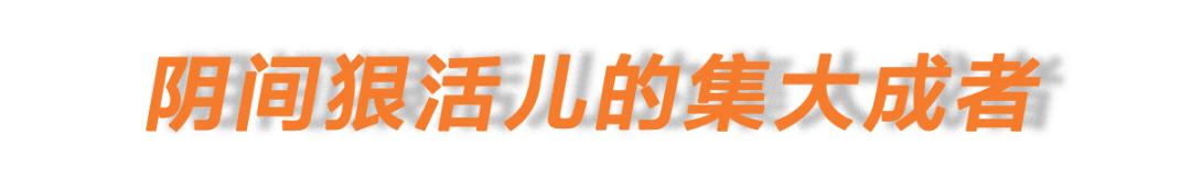 近期殡葬新闻,殡葬行业骗局揭秘新闻联播