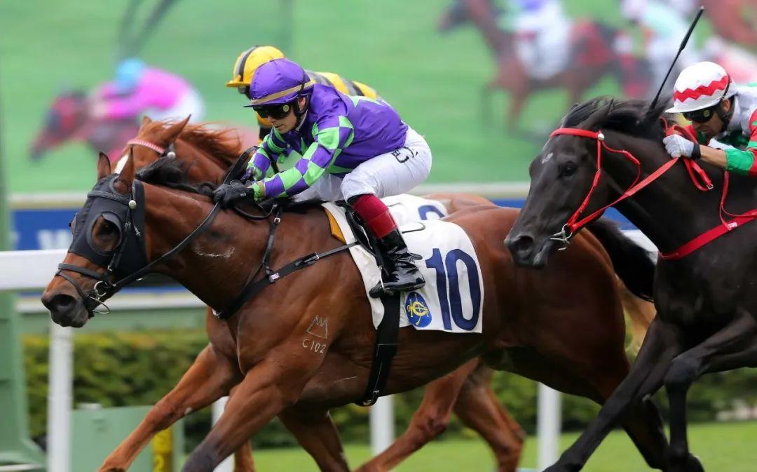 云端开战！香港赛马开锣赛精彩回忆《环球赛马（第一赛马网）明晚一起观战