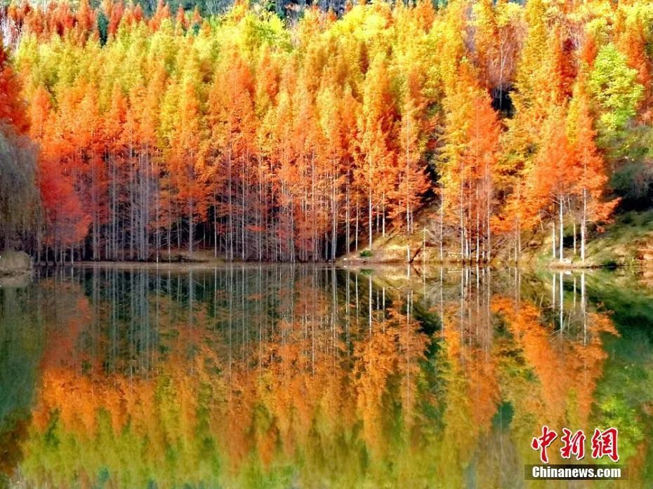 今日白露美句美文,今日白露五律诗