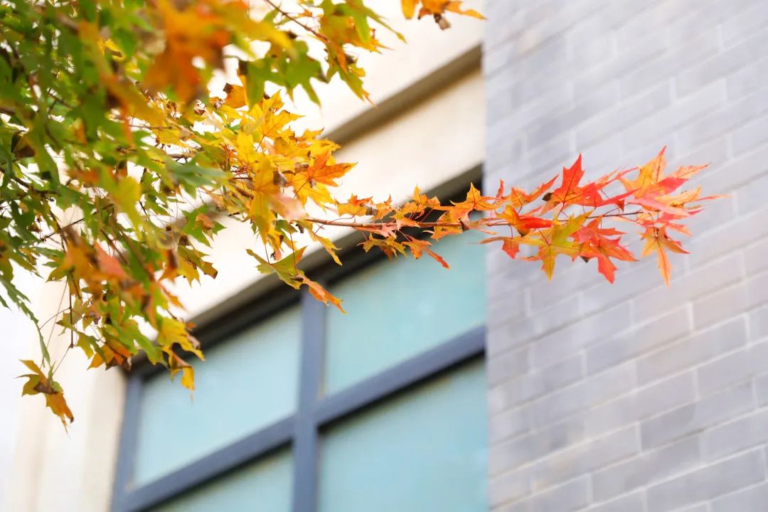 每日早报打卡,光盘行动打卡活动策划