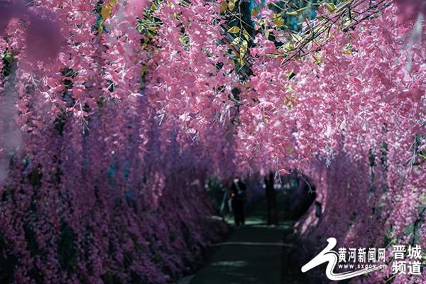 沟北村：山西彩绘第一村的进阶之路